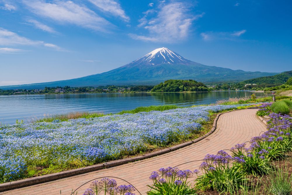 河口湖与富士山 参考图 1